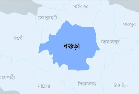 বৈদ্যুতিক মিটার চুরি করতে গিয়ে আটক যুবক