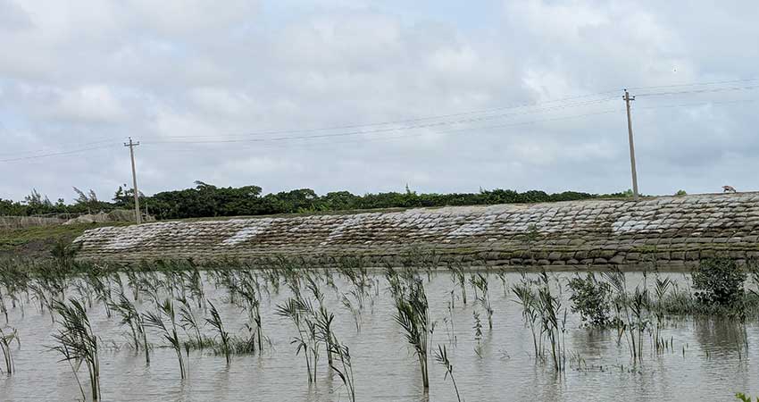 পাউবো'র খামখেয়ালীতে মৃতপ্রায় পটুয়াখালীর ‘বরইতলা নদী’