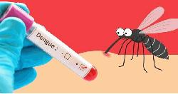 ডেঙ্গুতে ৭ জনের মৃত্যু, হাসপাতালে ৫৬৭