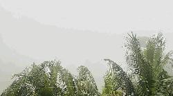 শীত নিয়ে আবহাওয়া অধিদপ্তরের দুঃসংবাদ